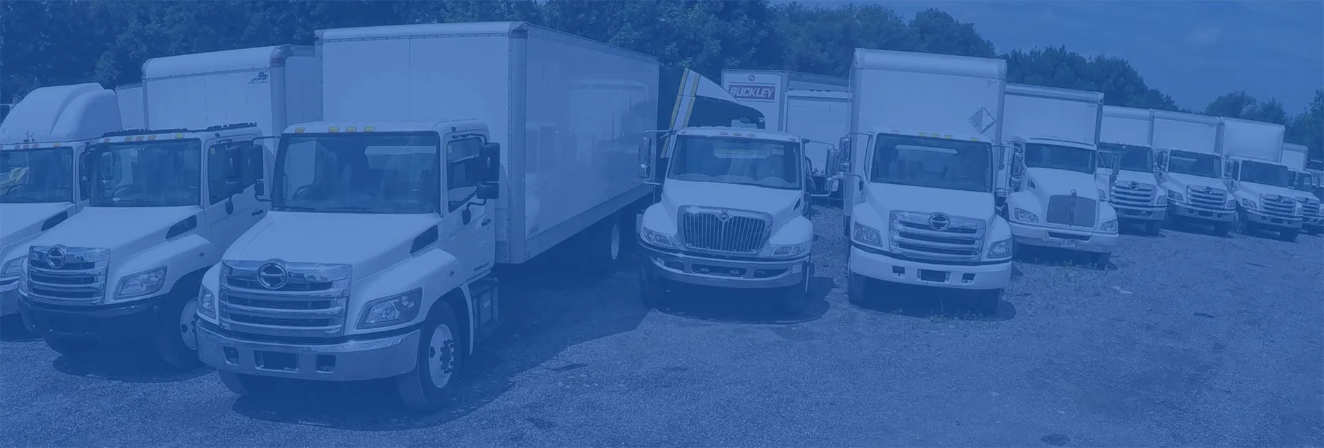 Find the Truck that Fits Your Needs